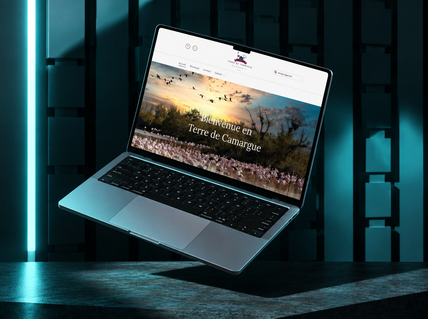 terredecamargue webky